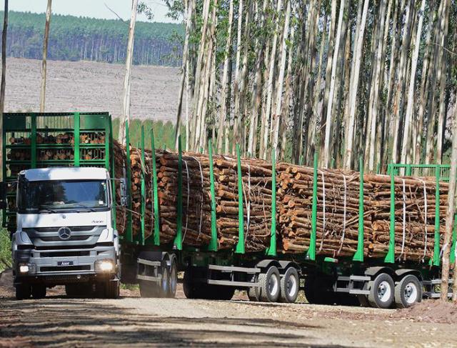 Transporte